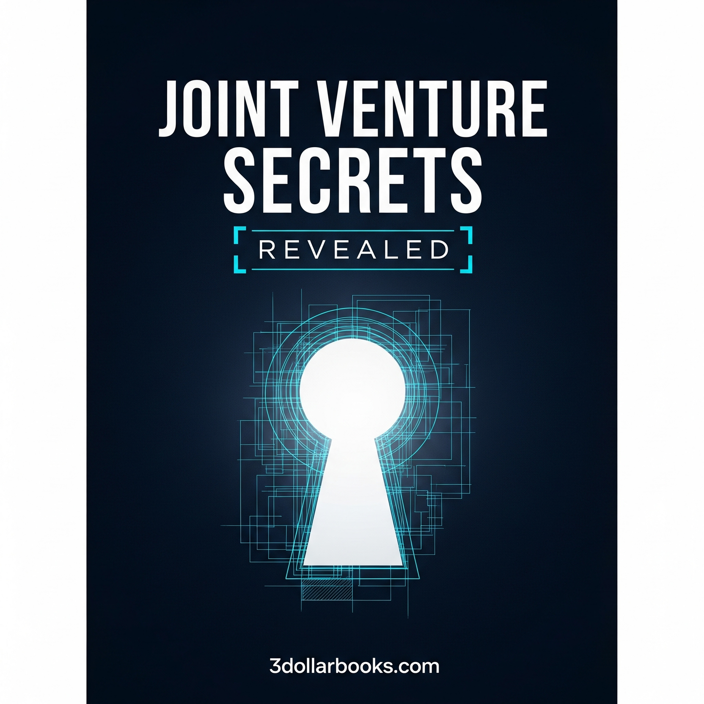 JOINT VENTURE SECRETS REVEALED